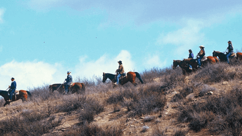 一群人骑马沿着钻石谷湖附近的一条小路旅行